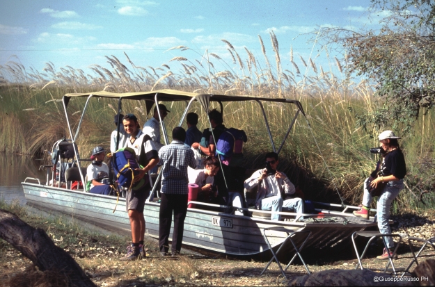 Imbarco su lancia verso l'isola di Gadikwe