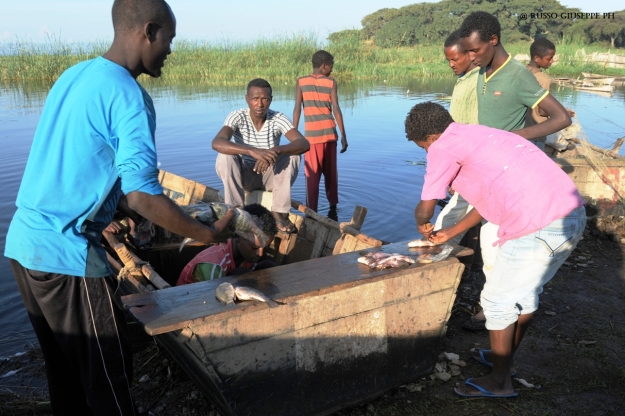  pescatori di etnia Sidamo presso AWASA FISH MARKET