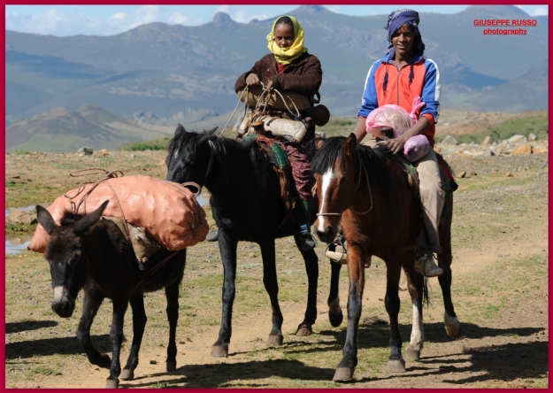 L’area del Bale Mountains National Park è abitata da etnie Oromo, principalmente agricoltori e allevatori di bestiame, famosi anche per le loro abilità equestri