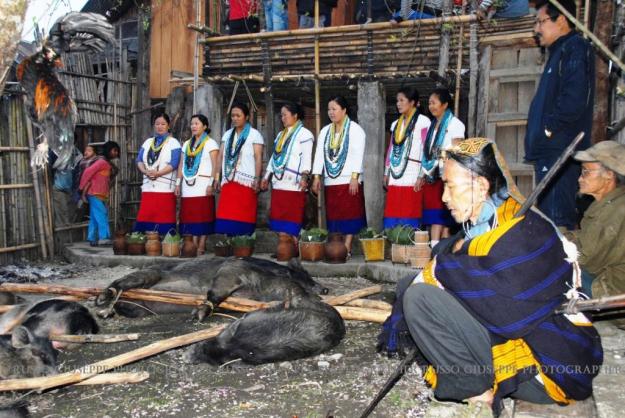 Lo sciamano prega il Miji in attesa del sacrificio dei polli e dei maiali, legati nel cortile di casa, mentre le donne li cospargono di farina di riso e birra di riso