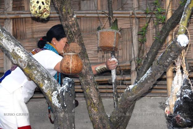 Le donne cospargono farina di riso e birra di riso sopra l’albero sacro, dove solo appesi i polli