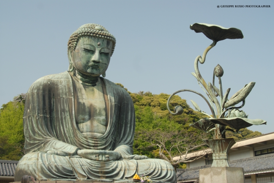 KAMAKURA, Grande Buddha Daibutsu
