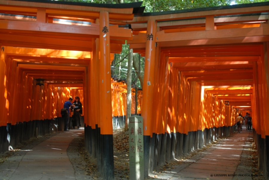 Fushi-mi-Inari Taisha, torii rossi.jpg